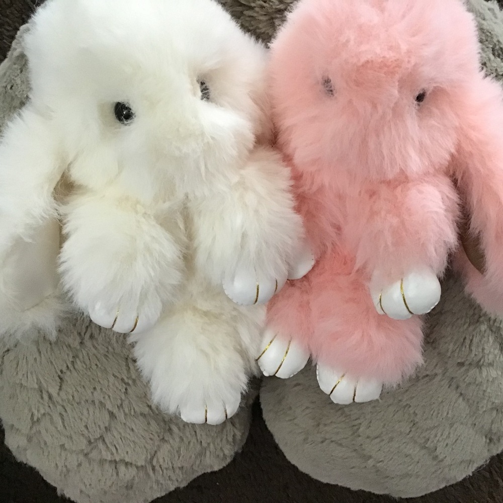 Bunny